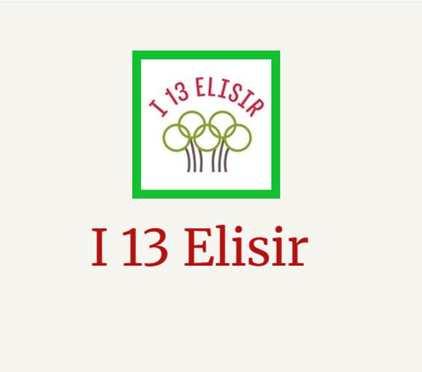 I 13 ELISIR