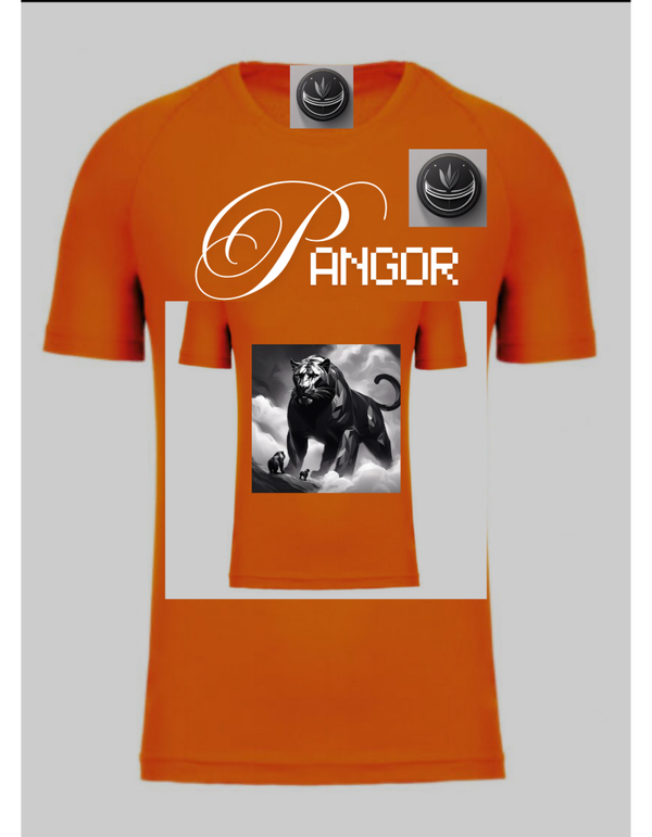T-hirt