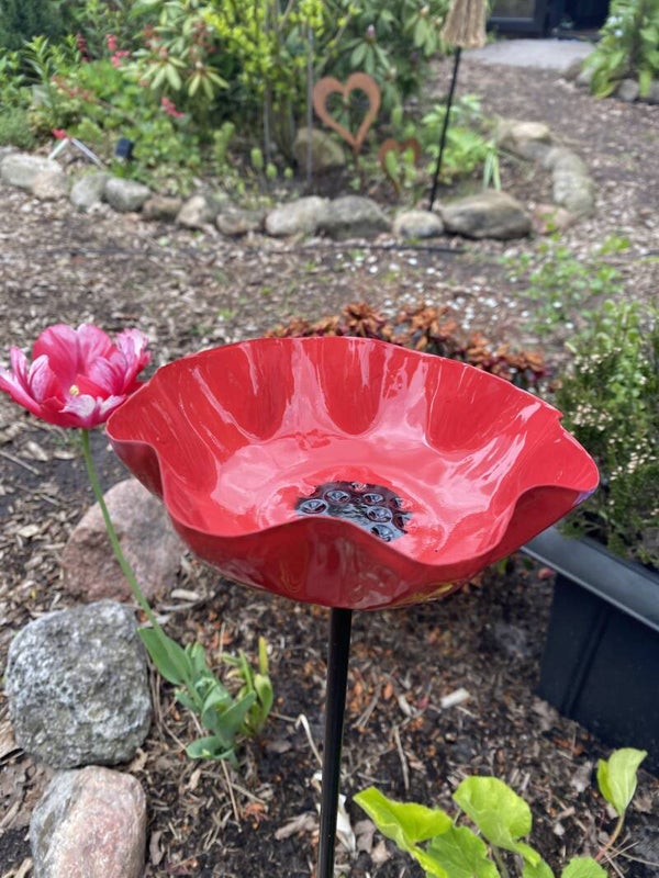 Tuinstekker - Insectenvijver (Pioenroos Groot) Rood