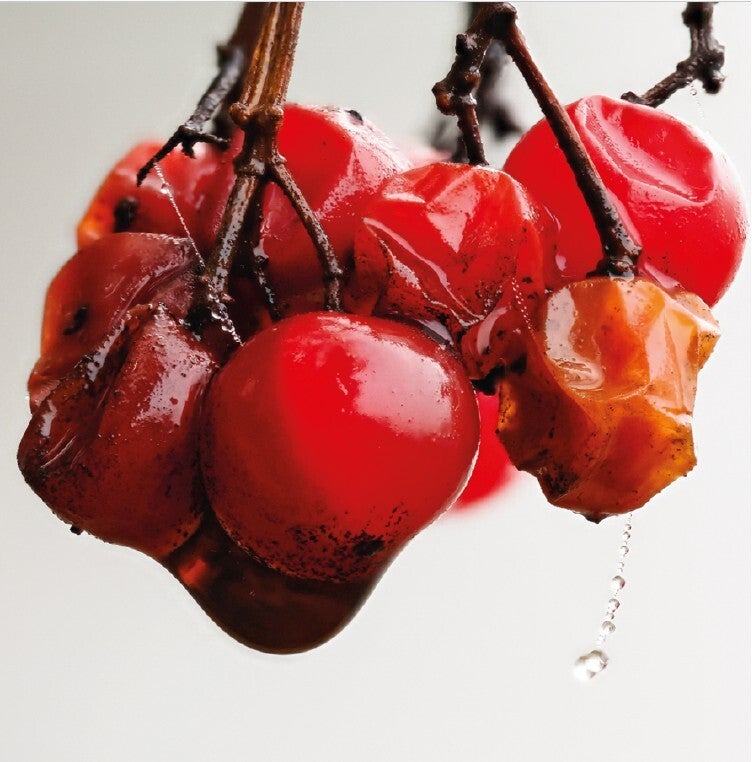 Fotogrusskarte Vergänglichkeit in Rot, 148 x 148 mm (gefaltet)