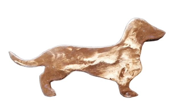 Outdoor dachshund DD15