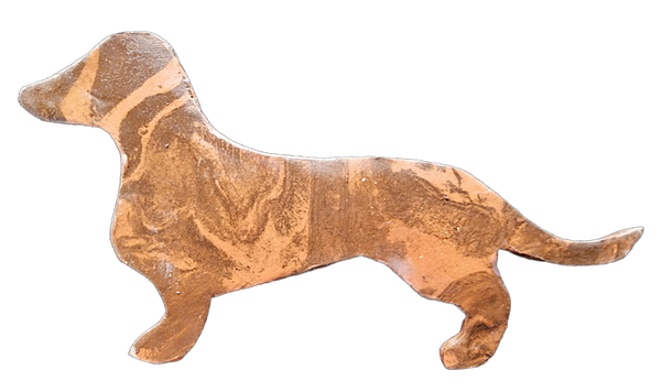 Dachshund outdoor DD17