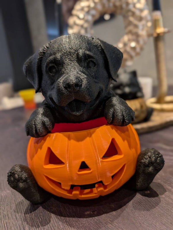 Custom Halloween Pot met dier naar Keuze