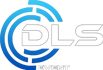 DLS Event
