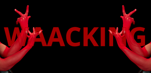Waacking Diva Danse Montpellier