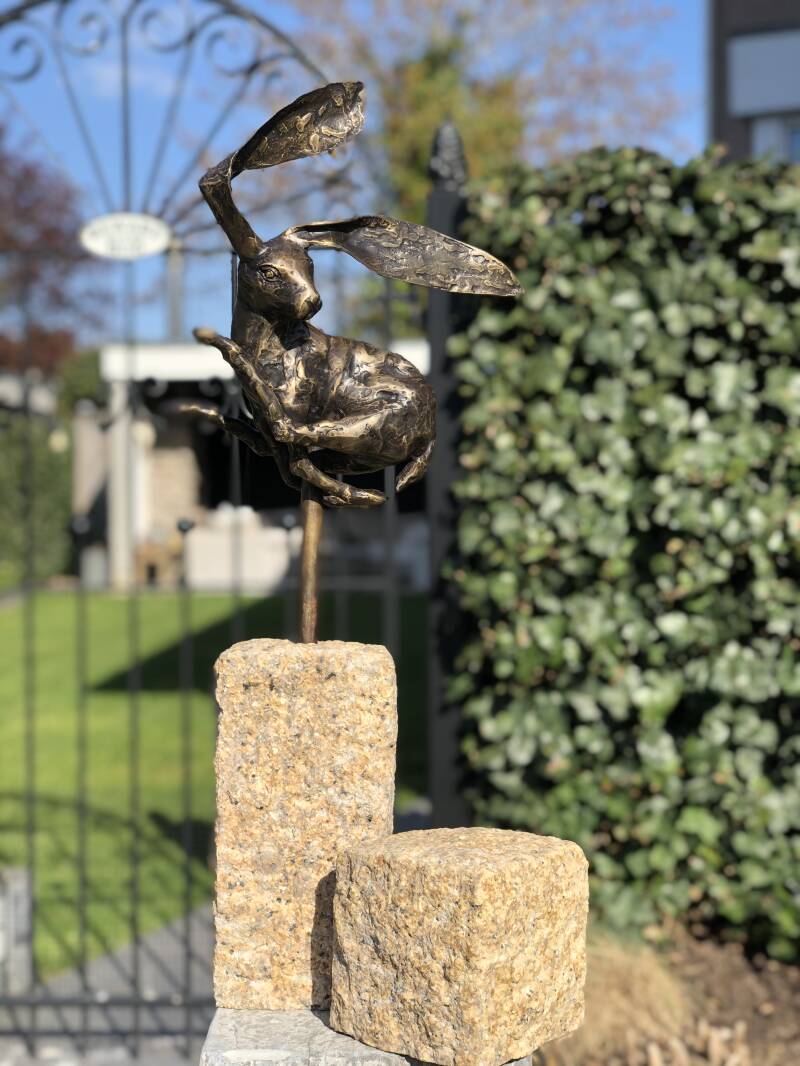 Abstract Bronzen Beeld. Een Gekke vliegende haas op Sokkel in Brons