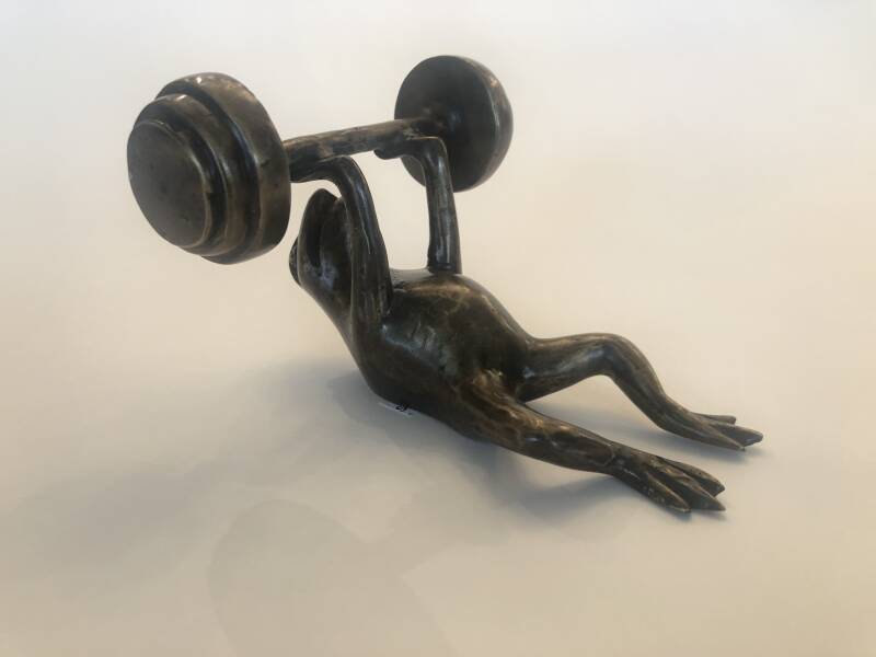 Bronzen Beeld. Sterke kikker bankdrukken in Brons door Marius Verhagen