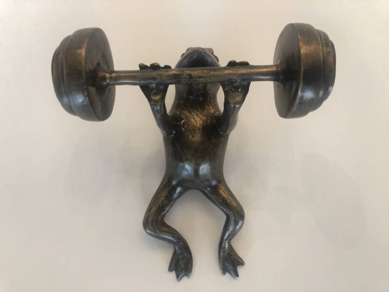 Bronzen Beeld. Sterke kikker bankdrukken in Brons door Marius Verhagen