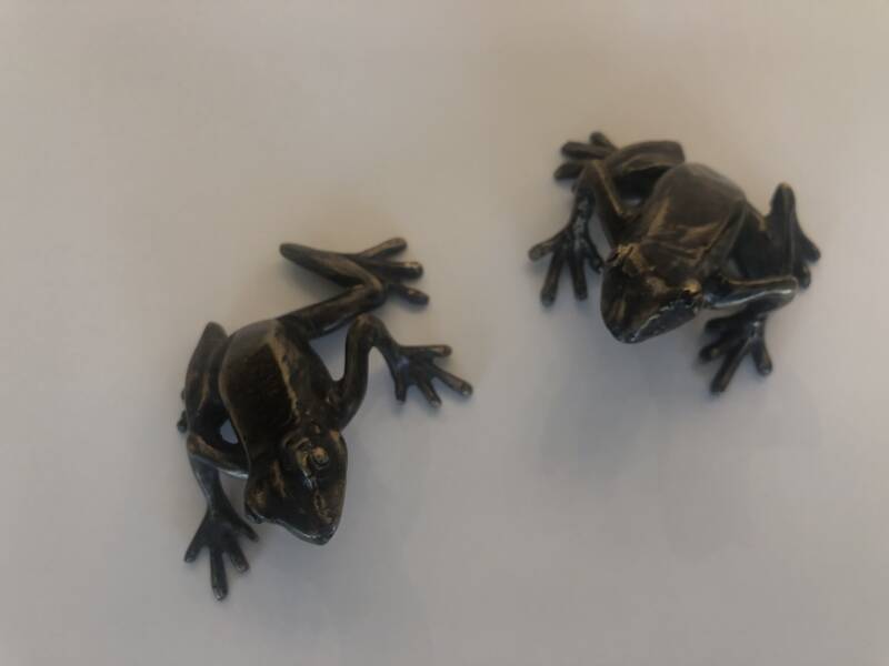Bronzen dierenbeeldjes van 2 kikkertjes op reis door marius verhagen in brons