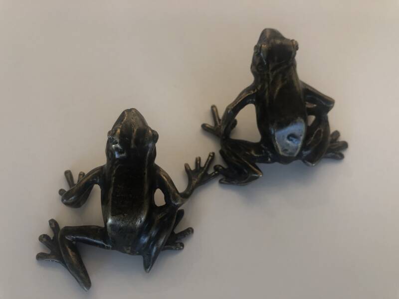 Bronzen dierenbeeldjes van 2 kikkertjes op reis door marius verhagen in brons