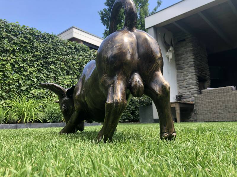 Groot bronzen beeld van imposante stier geschikt voor buiten