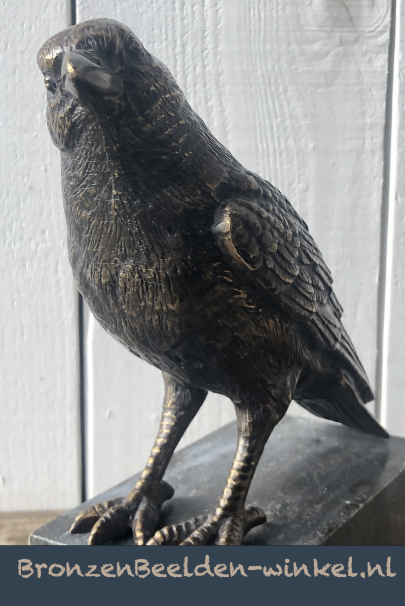 Bronzen vogel beeld van een Kauw in brons koop je bij bronzenbeelden-winkel uit Lent