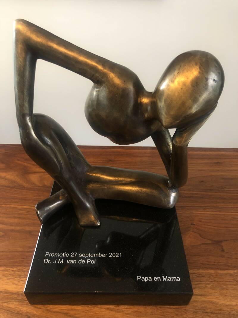 Wijze uil als afstudeerkado of examencadeau in Brons koop je bij bronzen beelden winkel Lent