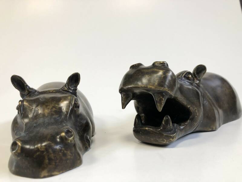 Bronzen Dieren beelden van een mannetjes en vrouwtjes Nijlbaard in Brons van de Bronzenbeelden-winkel uit Lent