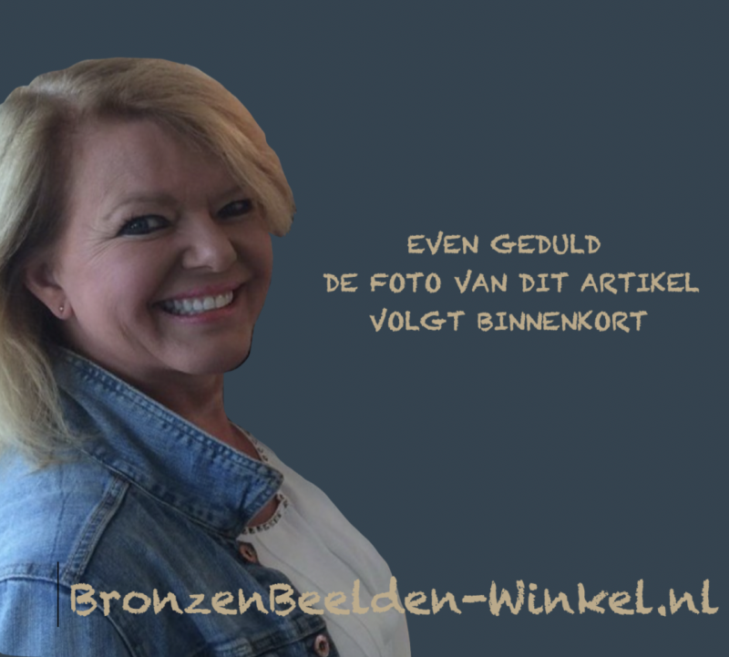 Abstract bronzen beeld the move door Marius Verhagen een beeld met een beweging met flair ....