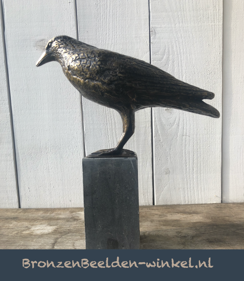 Bronzen vogel beeld van een Kraai in brons koop je bij bronzenbeelden-winkel uit Lent