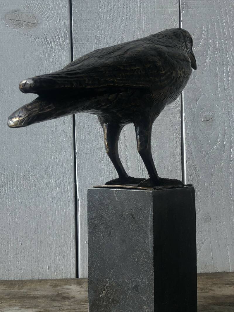 Bronzen vogel beeld van een Kraai in brons koop je bij bronzenbeelden-winkel uit Lent