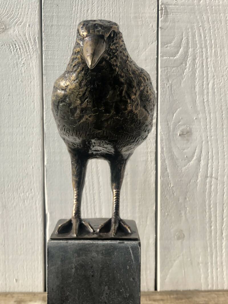 Bronzen vogel beeld van een Kraai in brons koop je bij bronzenbeelden-winkel uit Lent