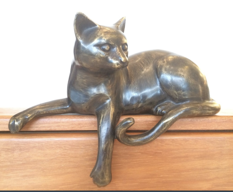 Poes ligt met haar poot over de rand van de tafel en kijkt de wijde wereld in