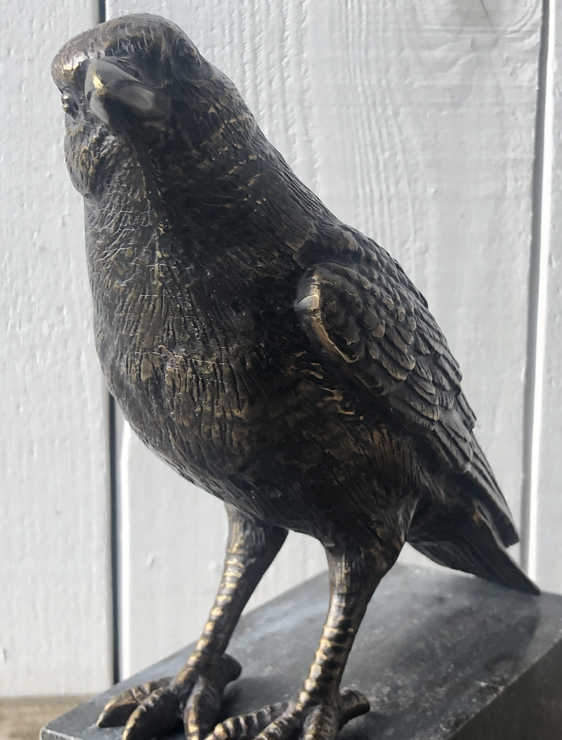 Vogel beeld van een Kauw in Brons