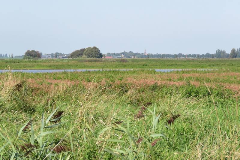 groenejonkerlandschap2sept2018IMG_90261718.jpg