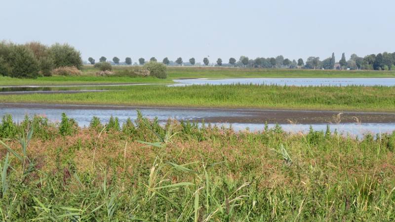 groenejonkerlandschap2sept2018IMG_90262018-1.jpg