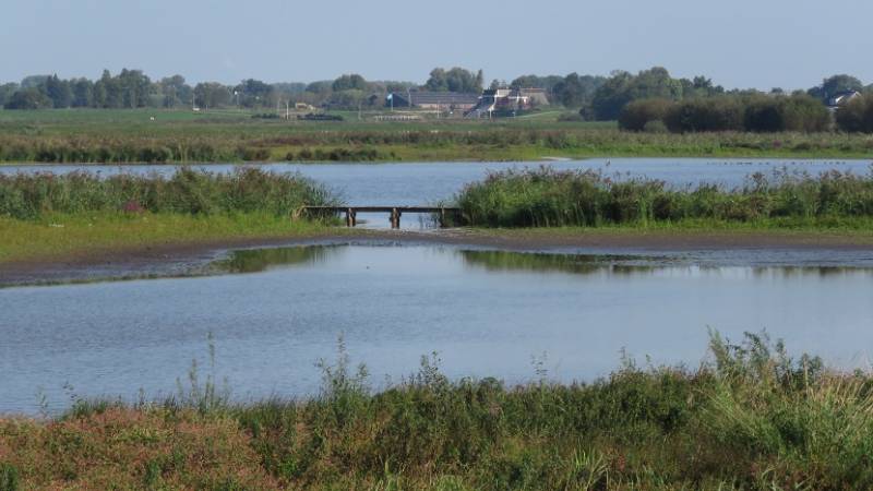 groenejonkerlandschap2sept2018IMG_9026218.jpg