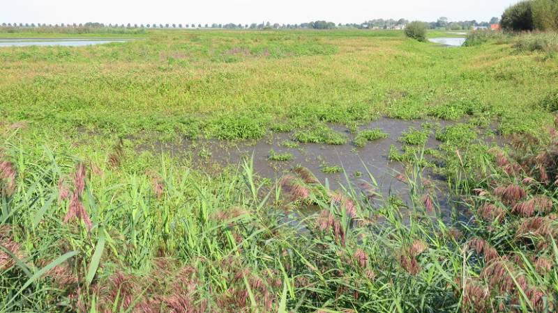 groenejonkerlandschap2sept2018IMG_90262318.jpg