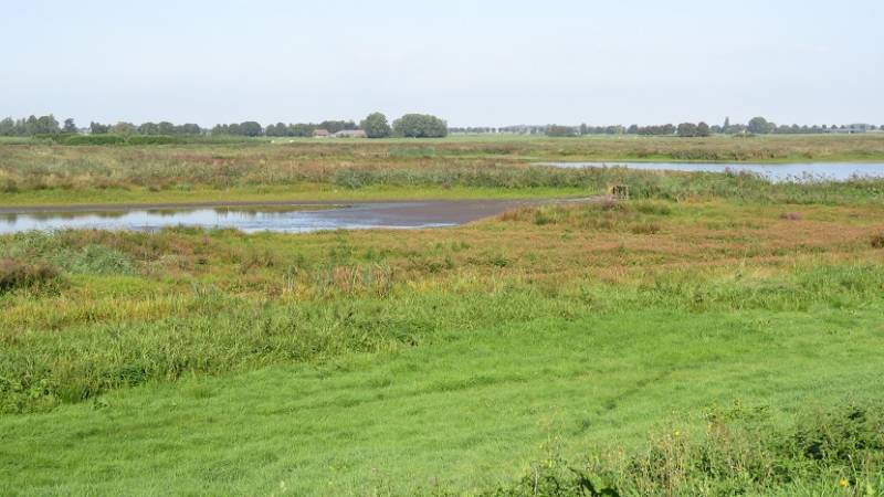groenejonkerlandschap2sept2018IMG_9026318.jpg
