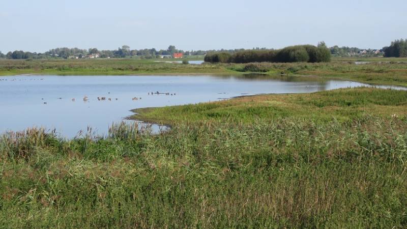 groenejonkerlandschap2sept2018IMG_9026518.jpg