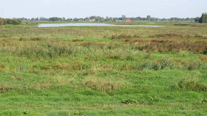 groenejonkerlandschap2sept2018IMG_9026618.jpg