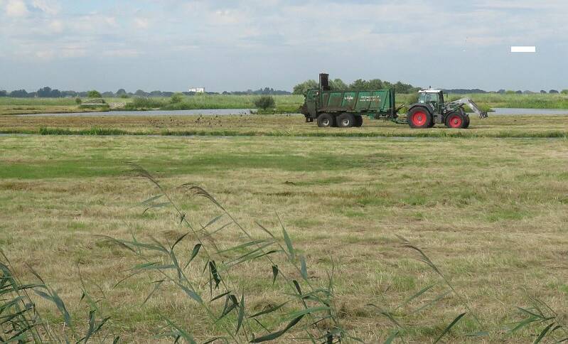 hoogeboezemgemaaidgraslandenbemest27juli2020IMG_716325cropscherp.jpg