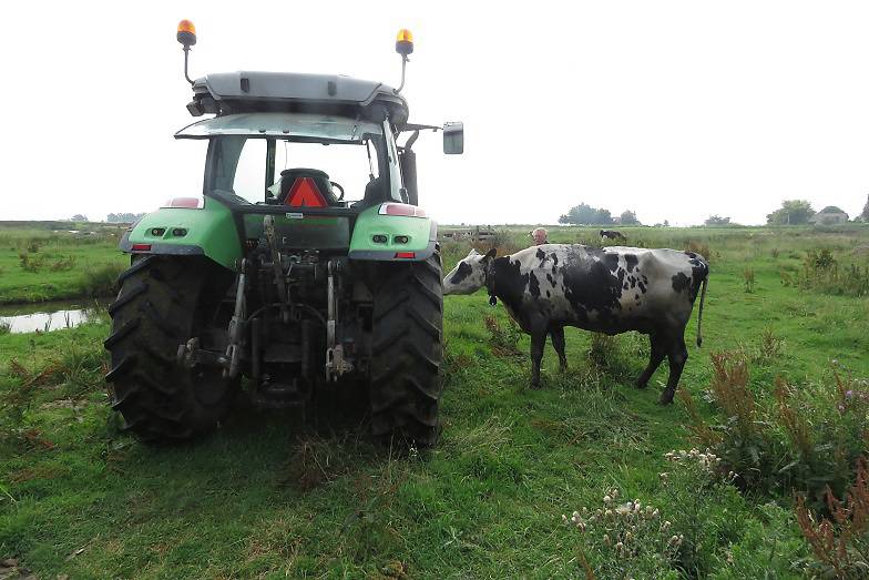 koetewaterhoogeboezem327juli20177juli201717scherp.jpg