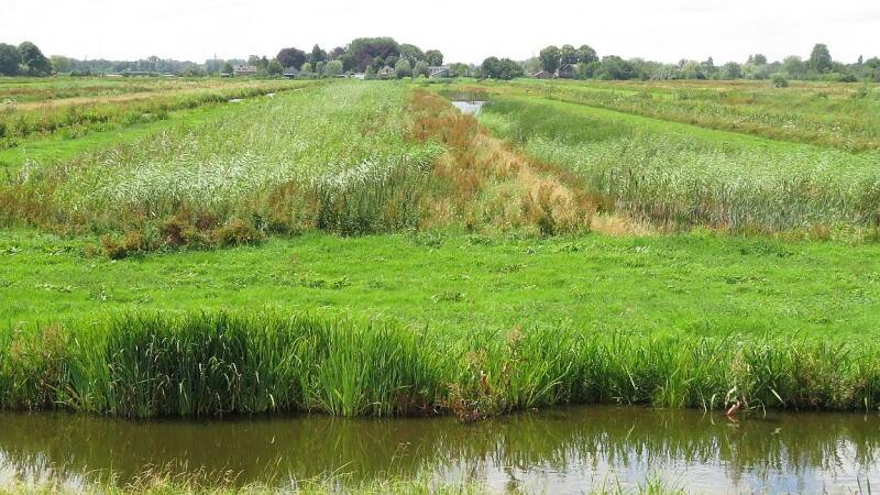 rwk-oukoop-moerasontwikkeling-8juli2024-img_0228-25-scherp-standard.jpg
