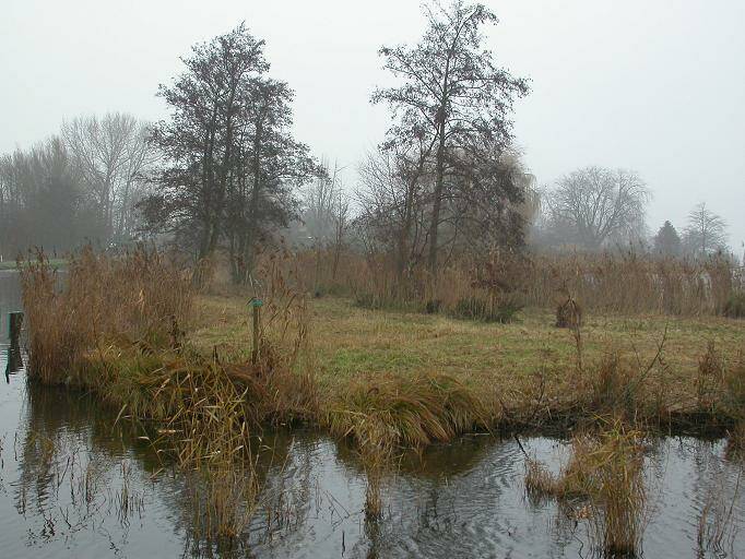 rwk-plassgravekoop1-moeras-FM10dec0430.jpg