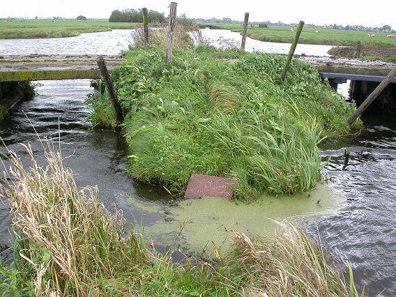 rwk-steinzuid9-tiendweghoogenboom-fm25okt05-verkleindjpg.jpg