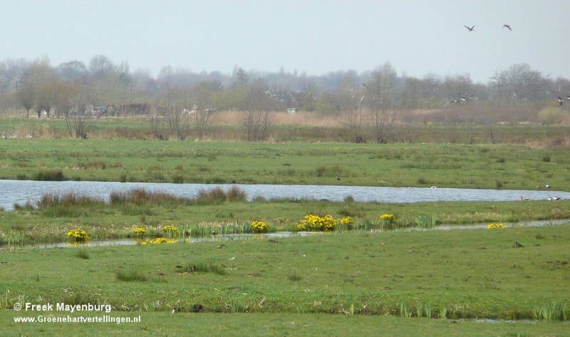 rwk_pldr_sluipwijk__grasland_12apr2015_092_40_crop_tekst-1.jpg