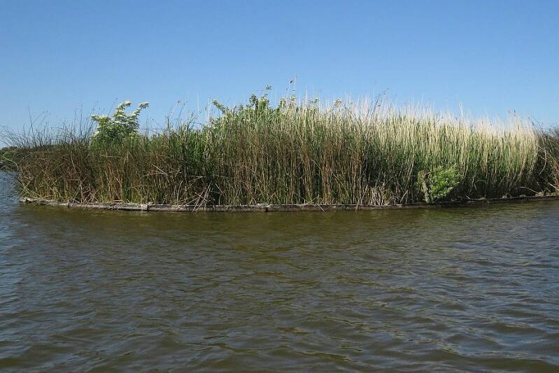 rwkplaselfhoeveneilandjesbeschermdmattenbies30mei2020IMG_615520scherp.jpg