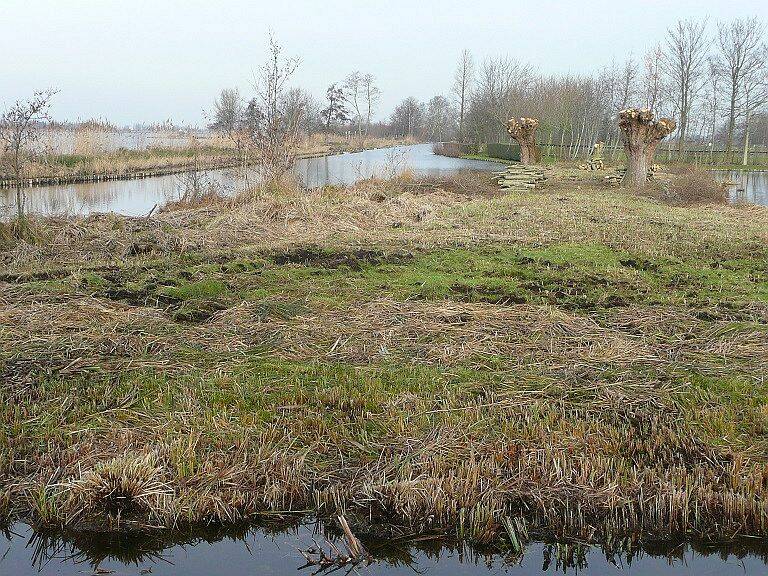 rwkplass-gravekoopkerfwetering6jan201410725scherp.jpg