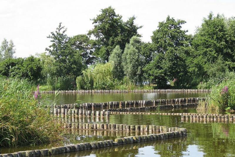 rwkplassgravekoopkerfwetering21juli2017IMG_319220scherp.jpg