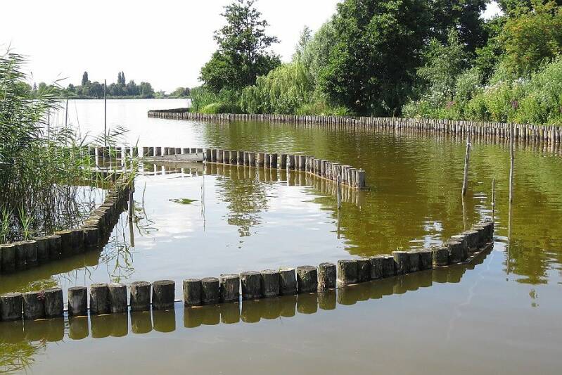 rwkplassgravekoopkerfwetering21juli2017IMG_319420scherp.jpg