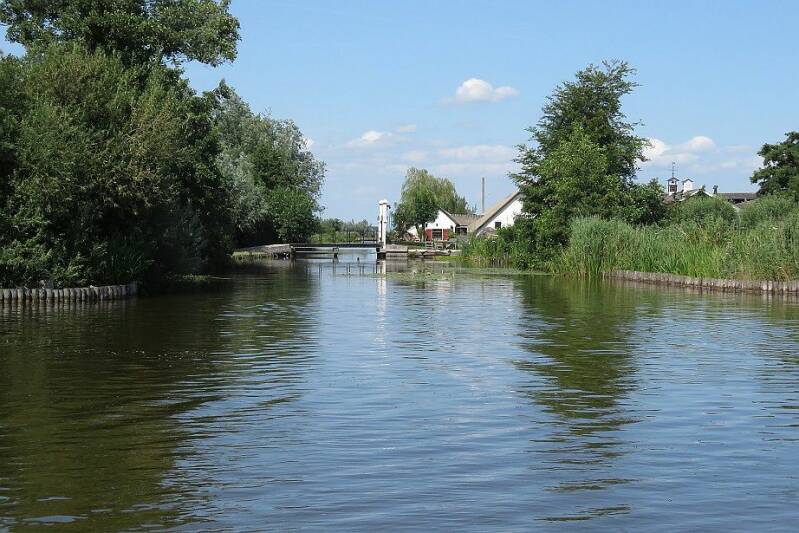 rwkplassgravekoopkerfwetering21juli2017IMG_319920scherp.jpg