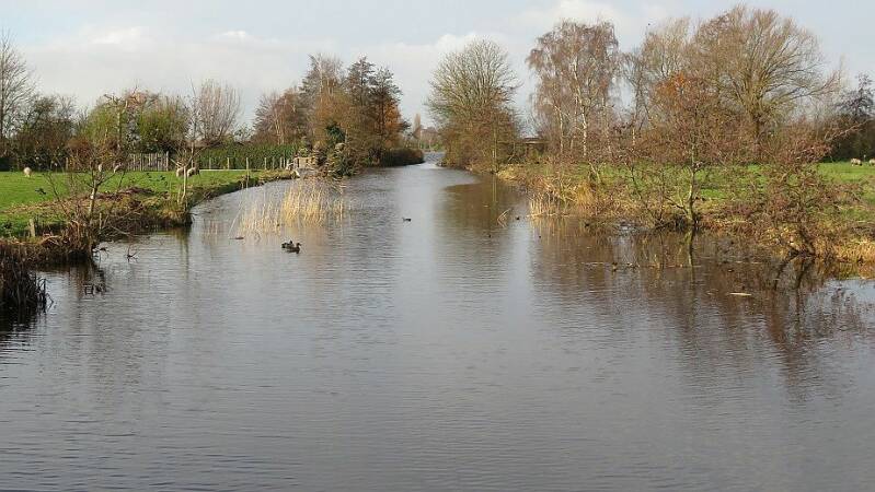 rwkplassgravekoopkerfwetering28nov2017IMG_522920scherp.jpg