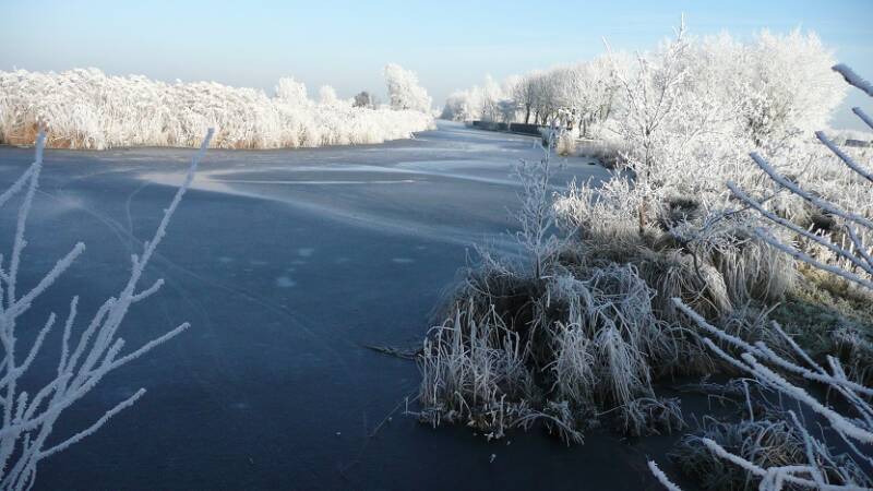 rwkplassgravekoopkerfweteringwinterbeeldFM10jan0910225.jpg
