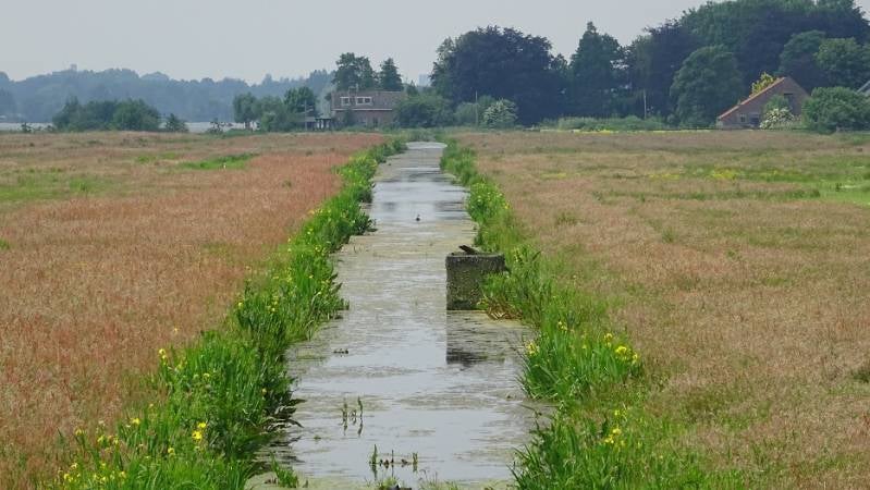 rwkpldroukoop3juni2017DSC0755618.jpg