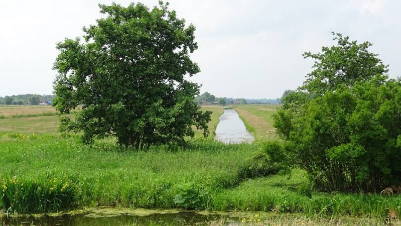 rwkpldroukoop3juni2017DSC0756218.jpg