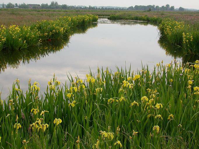 rwksluipwijkgelelisinlandschap2-FM30mei04scherp30.jpg