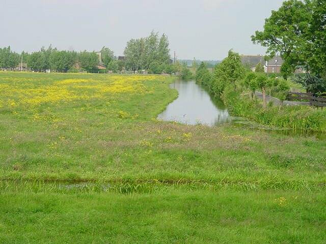 rwksluipwijkgraslandmetveelboterbloemmei2002scherp.jpg
