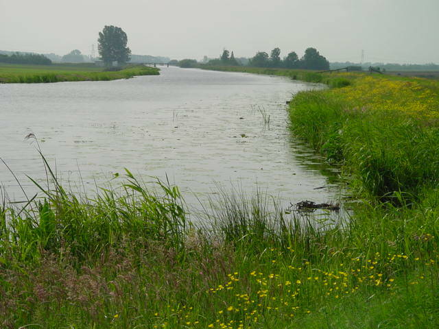 rwksluipwijkwierickelandschapsbeeld.jpg