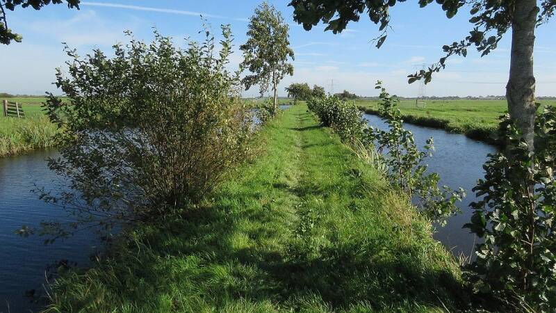 steinzuidtiendwegbeginkloosterboerderij1okt2023img_680325cropscherp.jpg